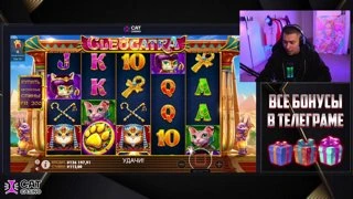 х17000 ЗАНЕС В ЖАБАХ ( 1.2кк) ПОИСК НОВОГО ЗАНОСА CAT CASINO !лям !cat !tg !ютуб