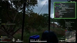 дерево, дерево