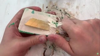 байт джона хантера