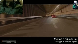 прыжки хомяка