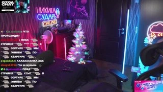 24 на 7 тигр