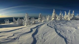 По приколу