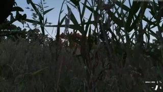 Вотч демо