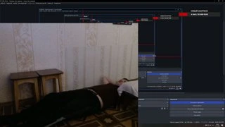 пузико