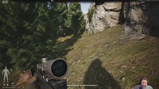 Дерево забулило