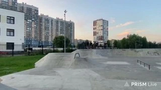 Сальтозавр