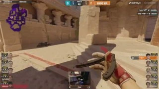 ez force