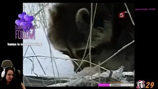 Димон не Член