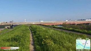 отжалили на стриме