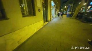 ЗЕЛЕНЫЙ ПЕС