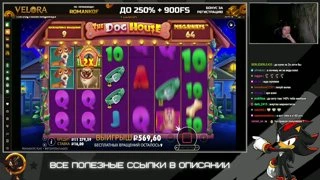 заносик
