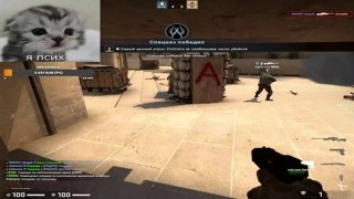 xd