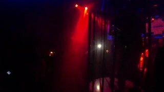 Вышла из клетки