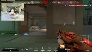 1vs5