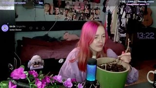 Бедный мандарин . . . Разрыхляем для нового дерева!