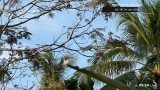 это 🐿️ или это 🦡 какой-то?