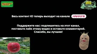 Витуберы