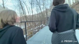 член 4 см