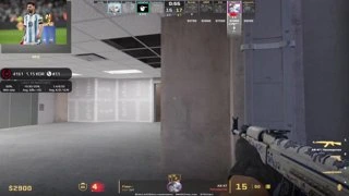 WP