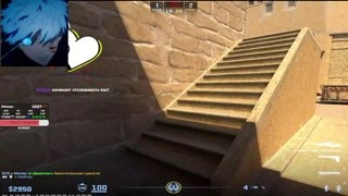 noscope v prijke
