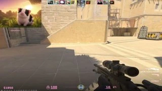 121212121212212121212