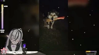 Прикольная ты