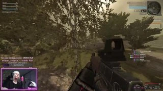 /fly