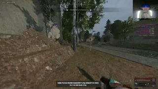 Кто кто ?