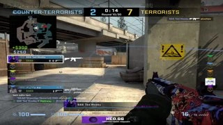 xd