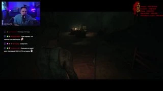 погладил 2