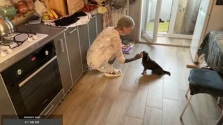 Зайка и желточек