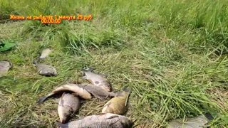 самое чёрноюморное сияние, в гта 5 рп, осуждаю не одобряю
