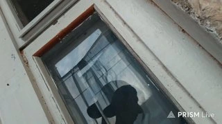 подглядывает за добычей