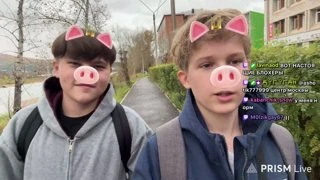 свиньи