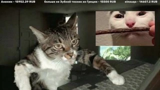 тайна Ахмада153