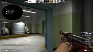 ZEUS LEAGUE Pro Division
