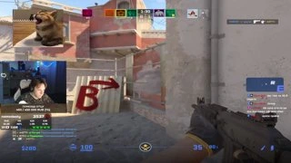 1в4