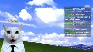 мяу мяу мяу(позор)