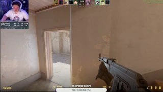 ZYWOO научил меня