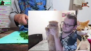 гаврюша на ручках