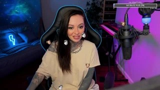 Полёт чайки