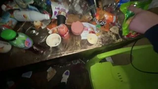 мышки