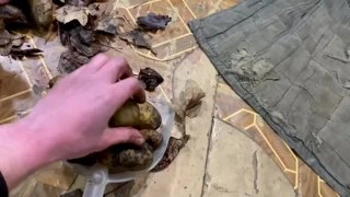 Лутанул бушлат из Винницы 
